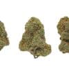 Strawberries and Cream 3 buds