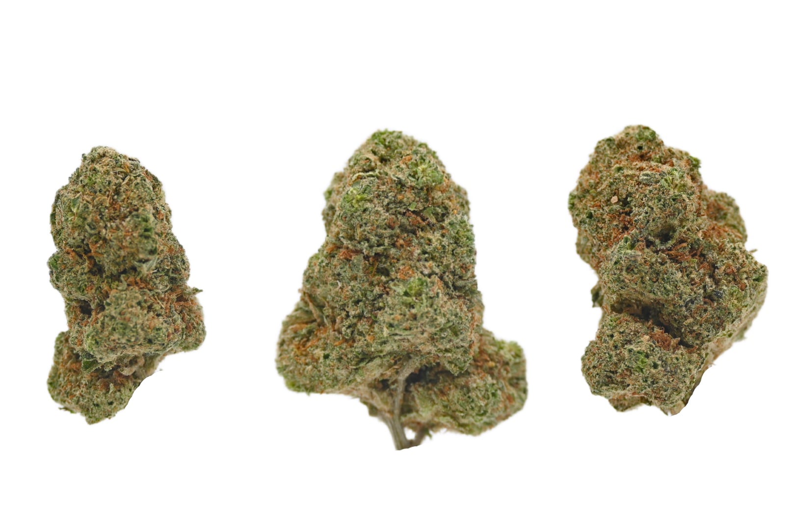 Strawberries and Cream 3 buds