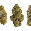 Strawberries and Cream buds