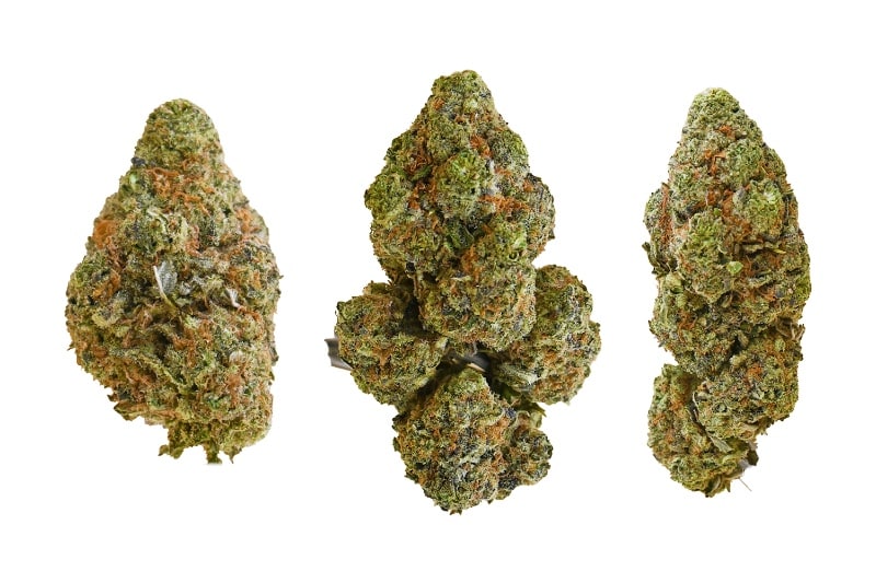 Strawberries and Cream buds