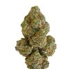 Strawberries and Cream strain