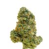 Super Pink Kush Strain