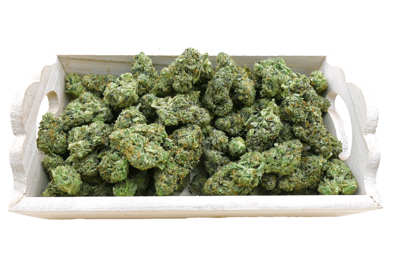 Super Pink Kush group shot