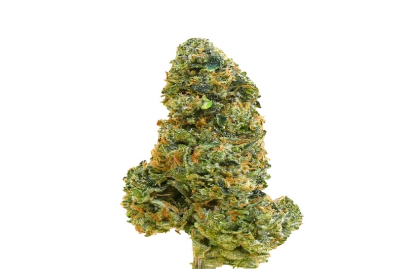 Super Pink Kush Strain