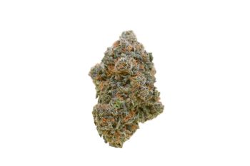 Glitter Bomb Strain