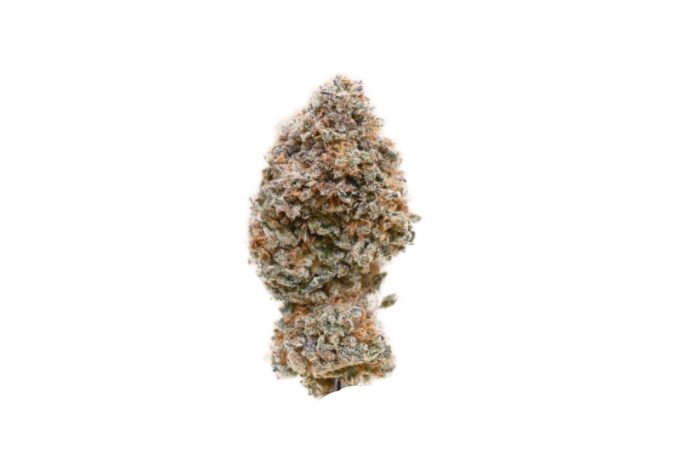 Ice Wine Strain