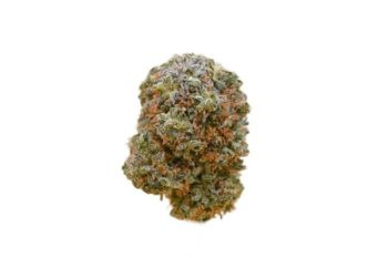 Green Crack strain