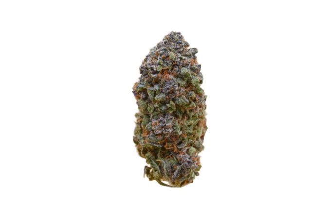 Huckleberry strain