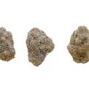 Mendo Haze buds