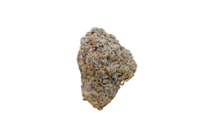 Mendo Haze strain
