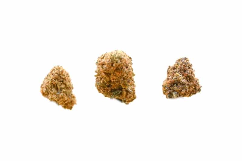 Pineapple Express buds