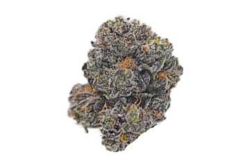 Blackberry OG strain