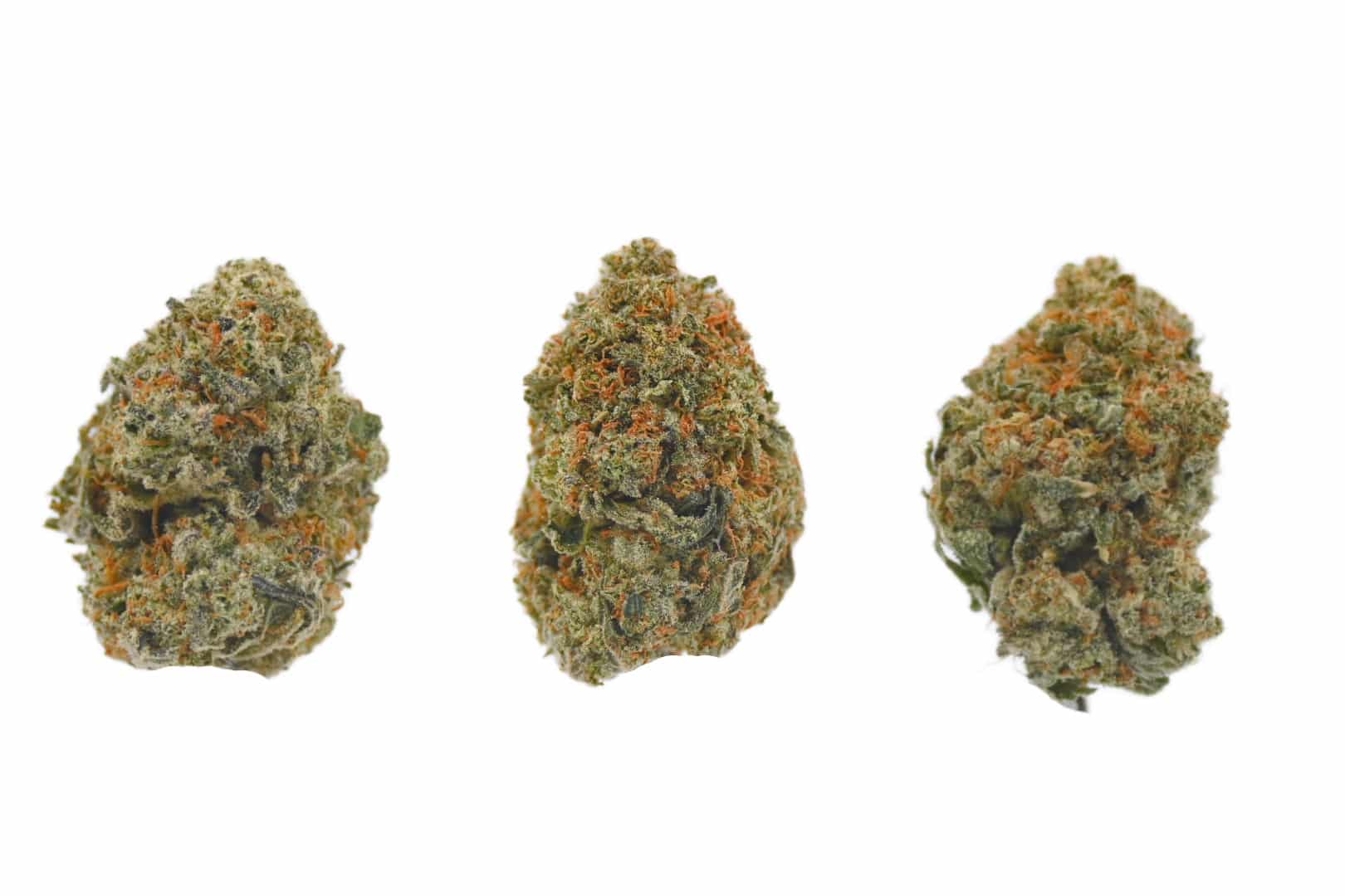 Gorilla Glue 5 April 2026 3 buds