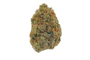 Gorilla Glue #5