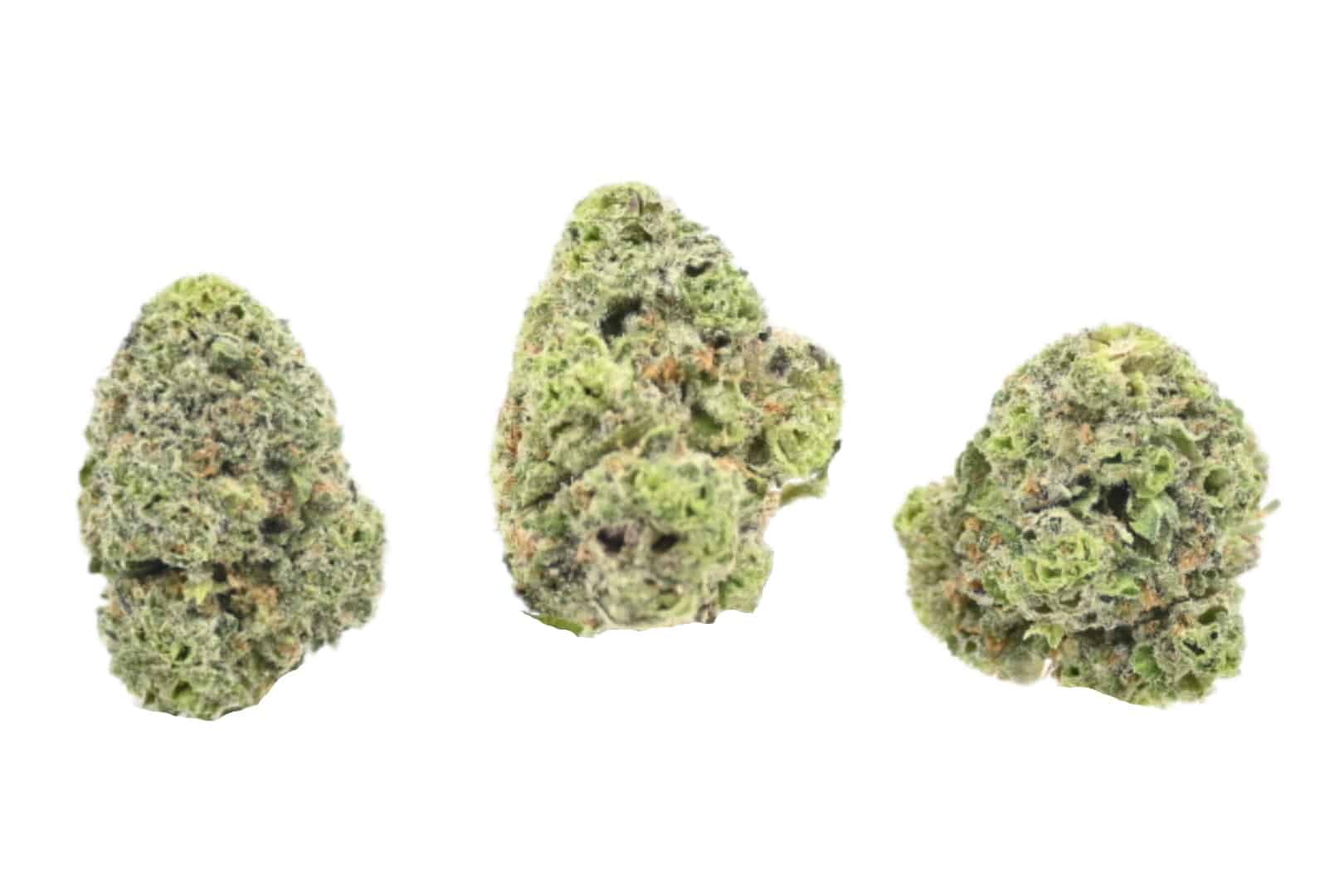 Octane Mint Sherbet buds