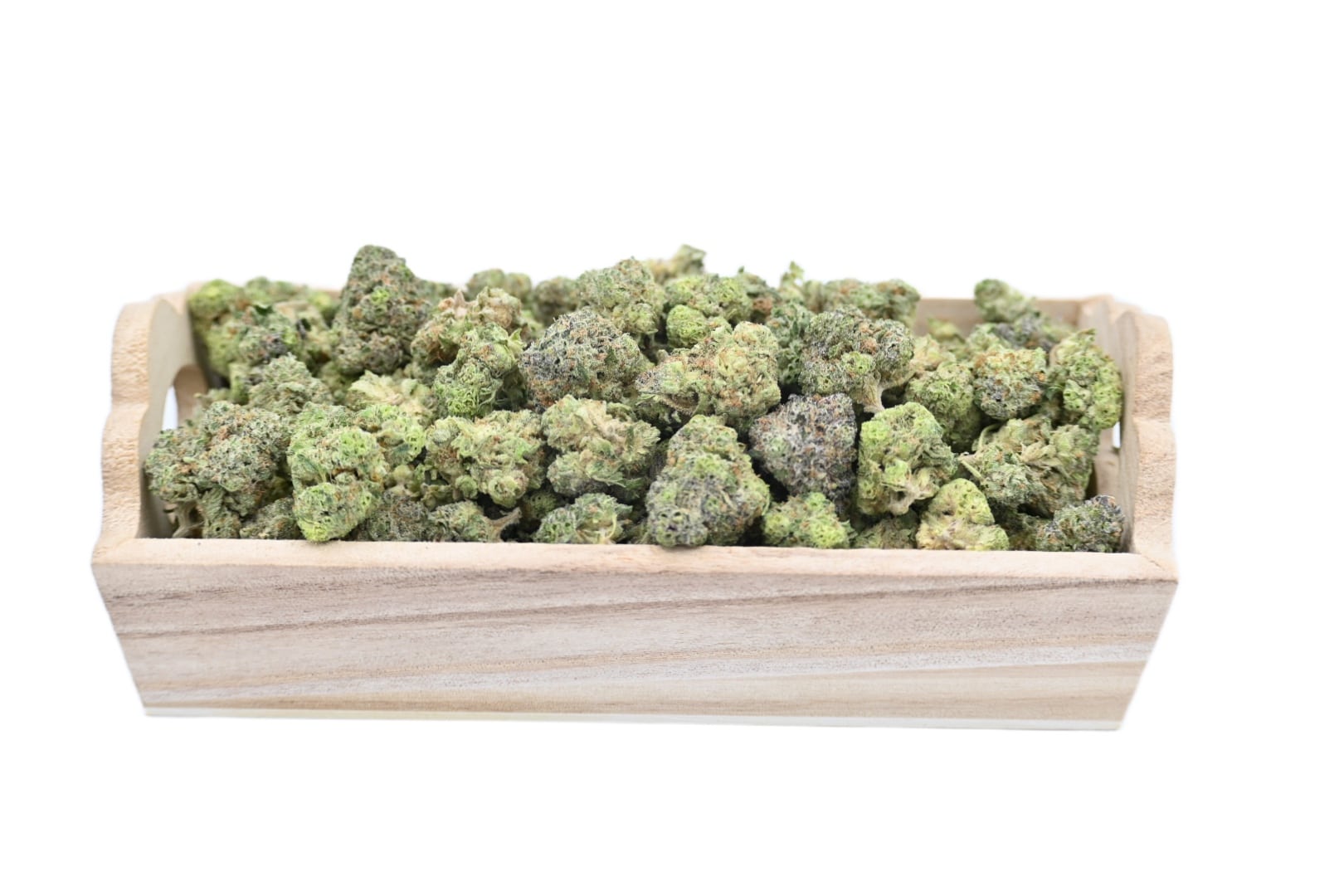 Octane Mint Sherbet strain