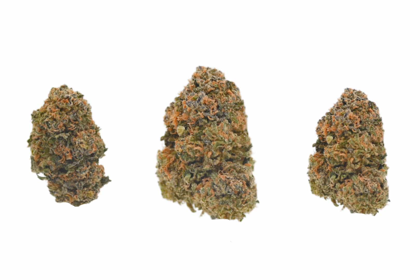 Oreoz strain (3 buds) Oreoz strain 3 buds