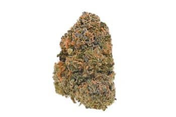 Oreoz strain