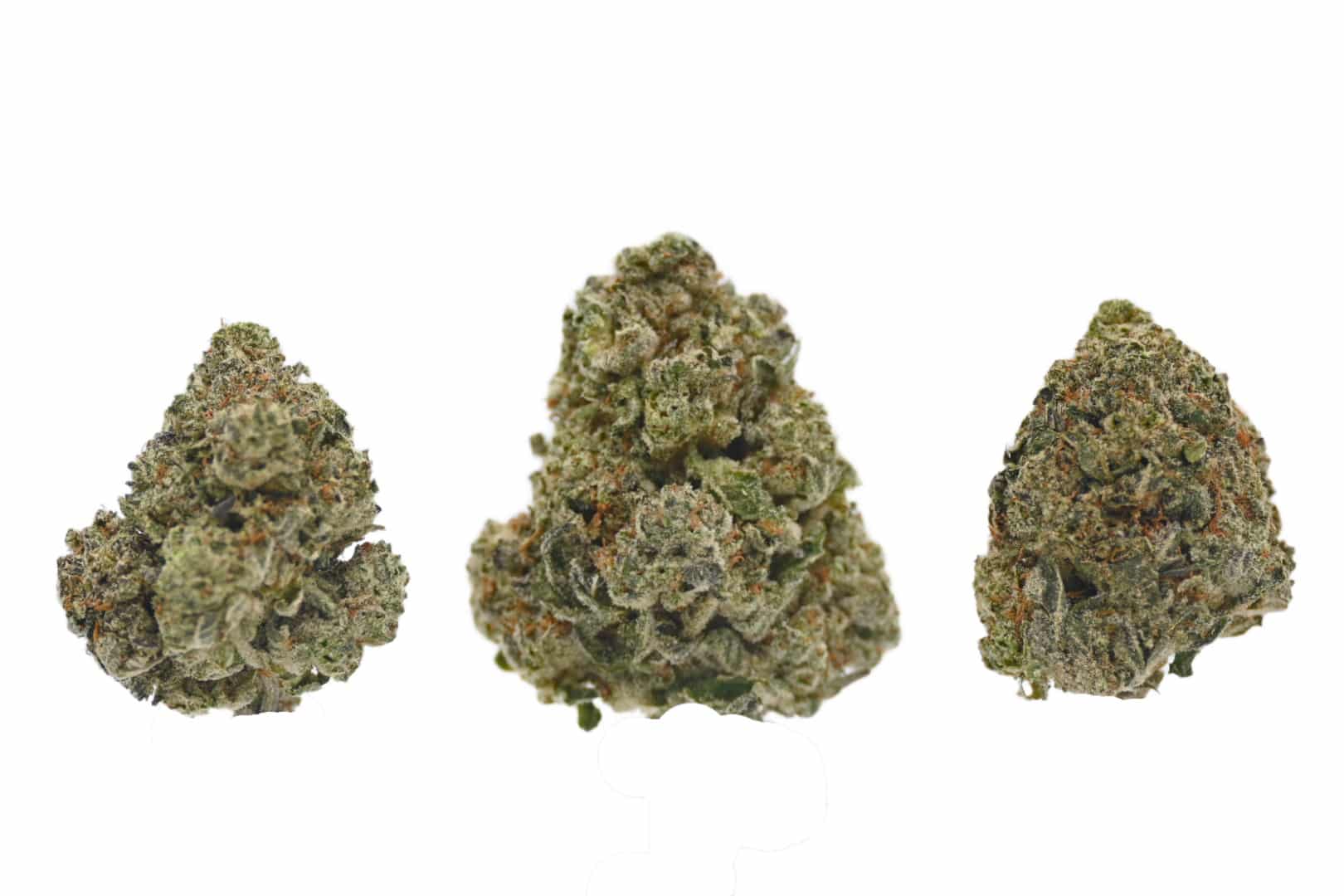 DEATH CANDY BUDS DEATH CANDY BUDS