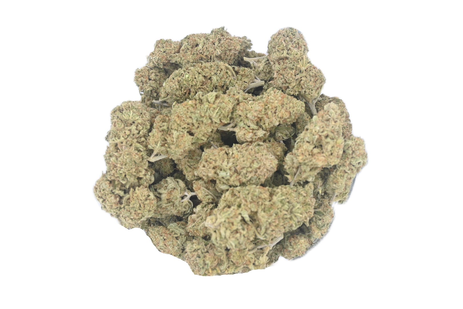 Candy Land group shot