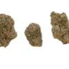 Black Velvet buds Black Velvet buds