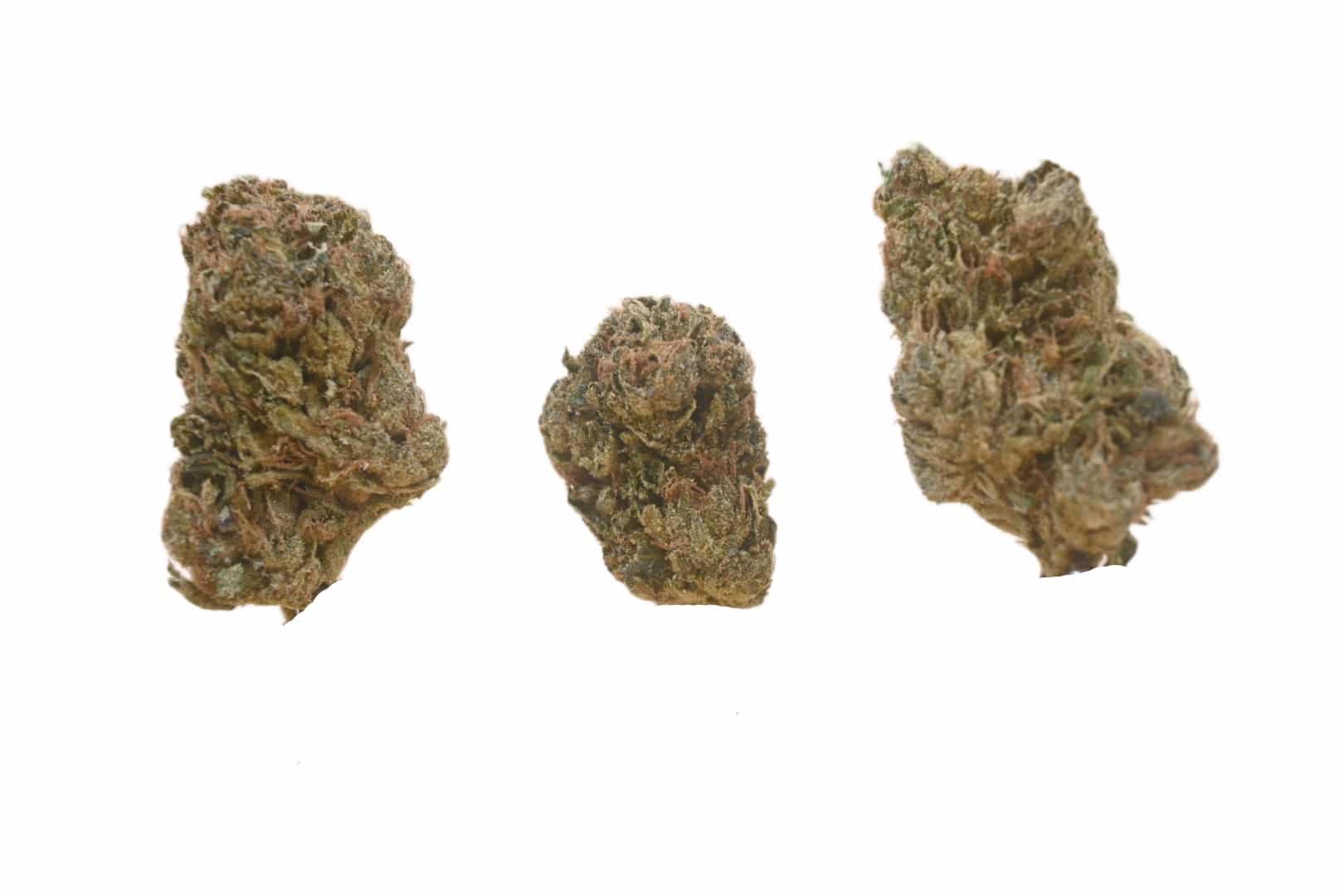 Black Velvet buds Black Velvet buds
