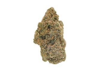 Organic Donutz strain