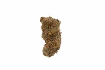 MK ultra strain sun grown