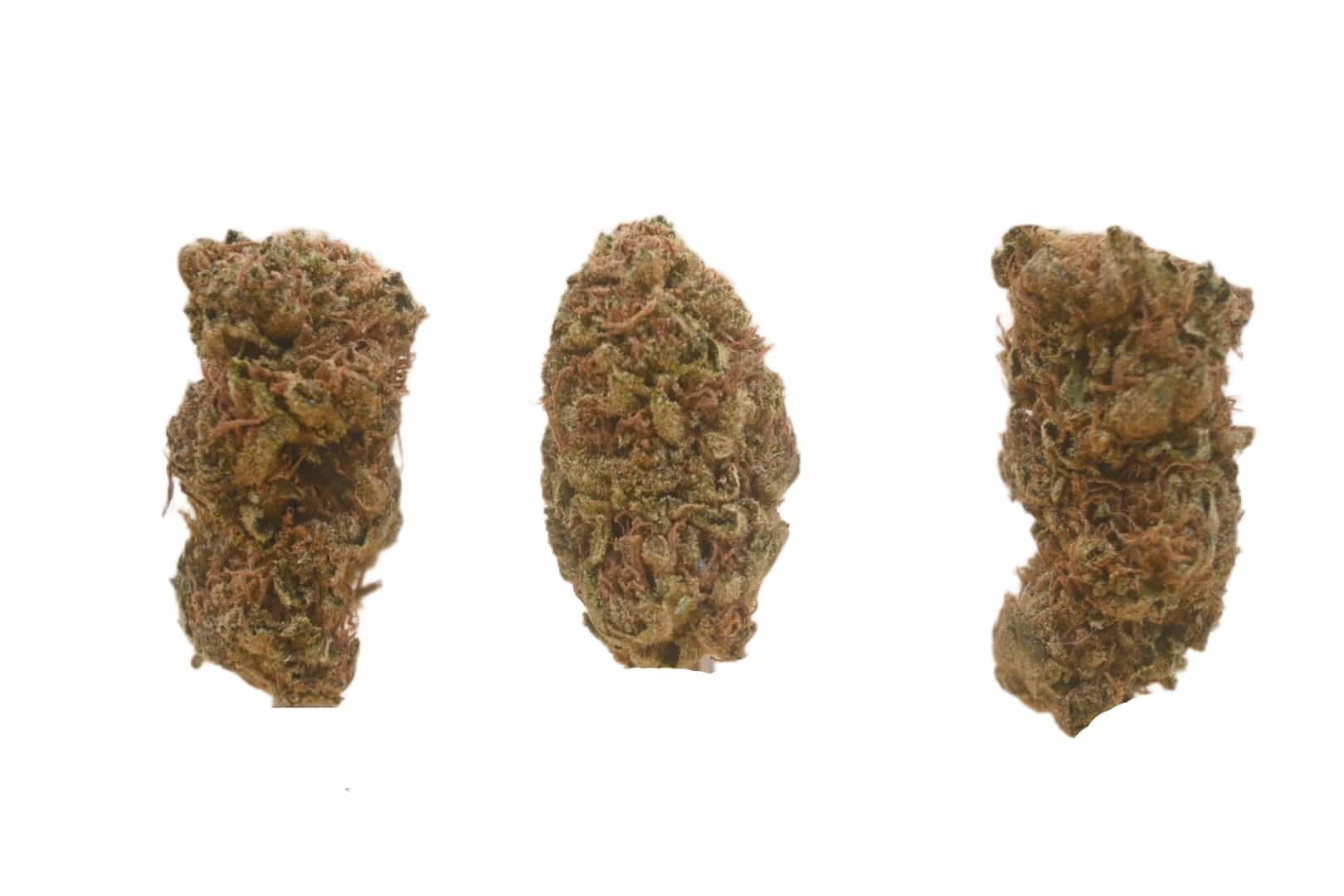 MK Ultra sun grown buds 1