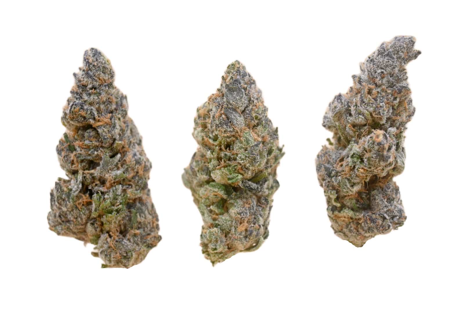 Alien Mints buds 1