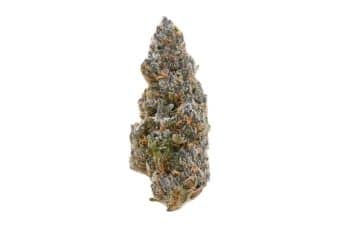 Alien Mints Strain