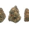 Girl Scout Cookies buds Girl Scout Cookies buds