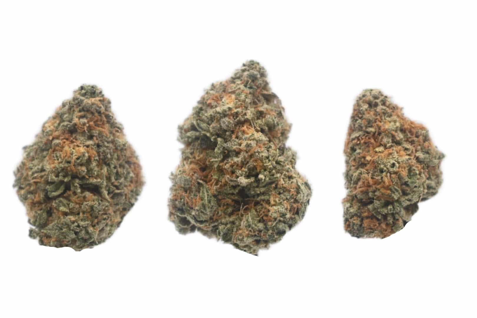 Girl Scout Cookies buds Girl Scout Cookies buds