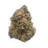 Girl Scout Cookies strain Girl Scout Cookies strain