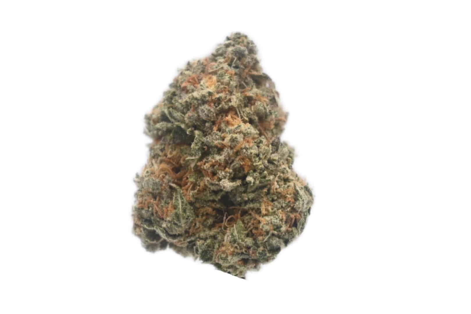 Girl Scout Cookies strain Girl Scout Cookies strain