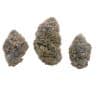 Buddha God buds