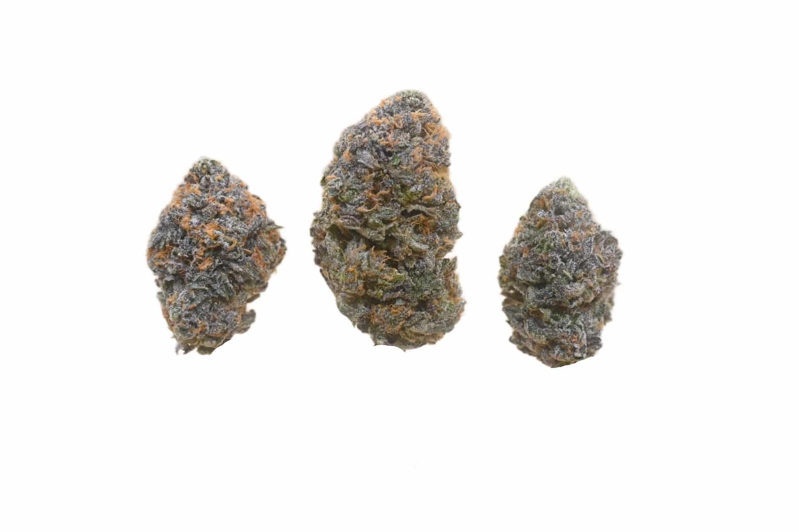 Buddha God buds
