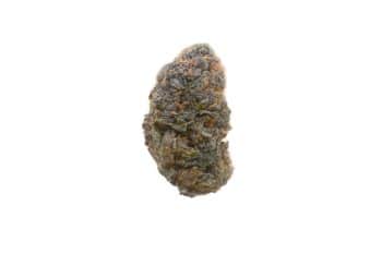 Buddha's Gift strain