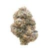Gastro Pop strain