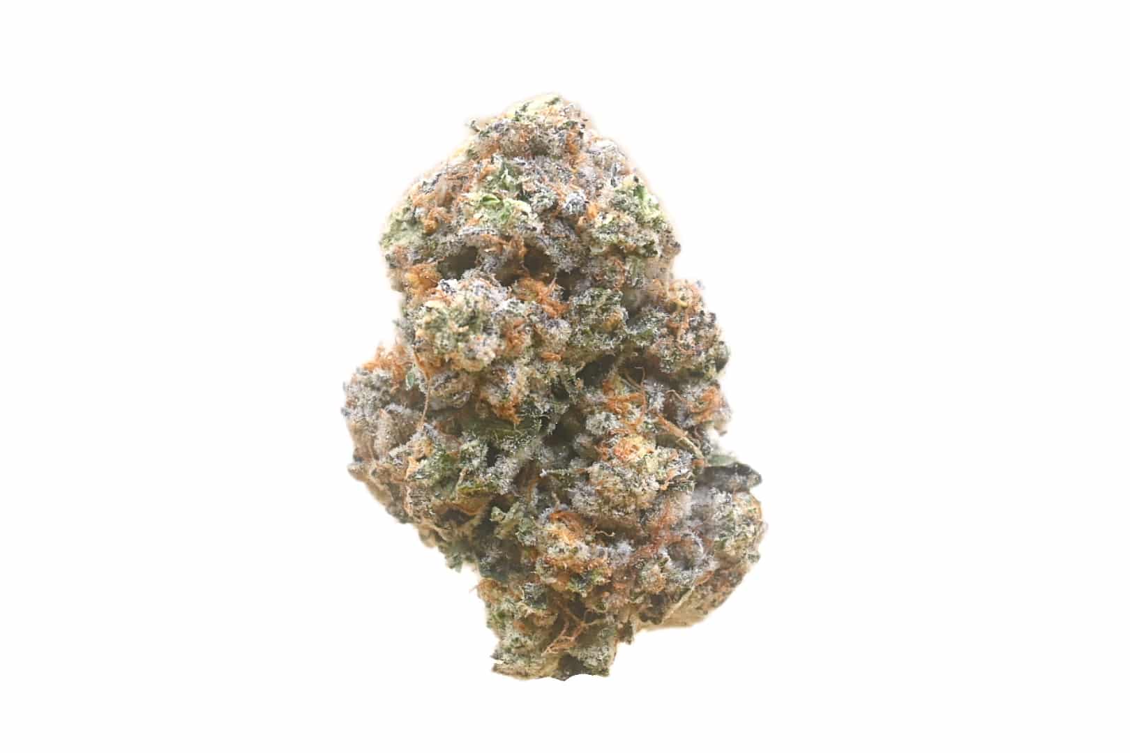 Gastro Pop strain