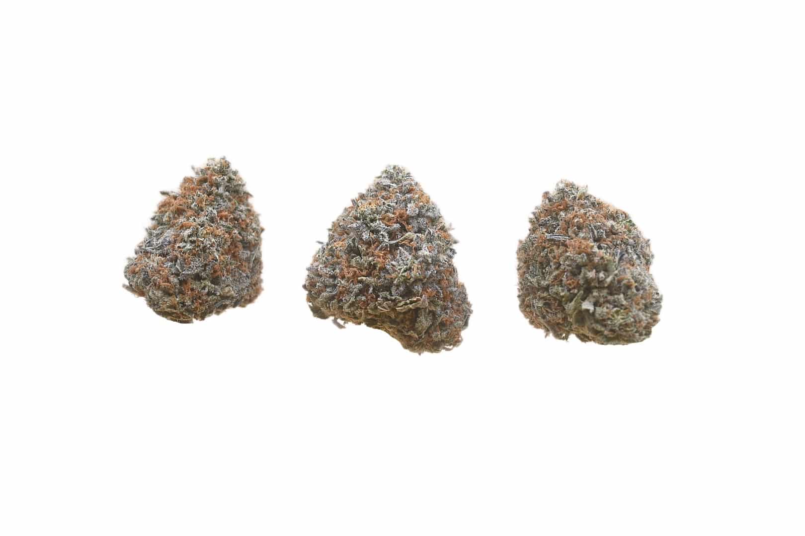 Gods Green Crack buds