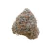 Gods Green Crack strain