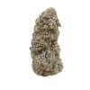 Ice Wine strain
