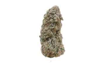 Ice Wine strain