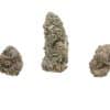 Ice Wine buds