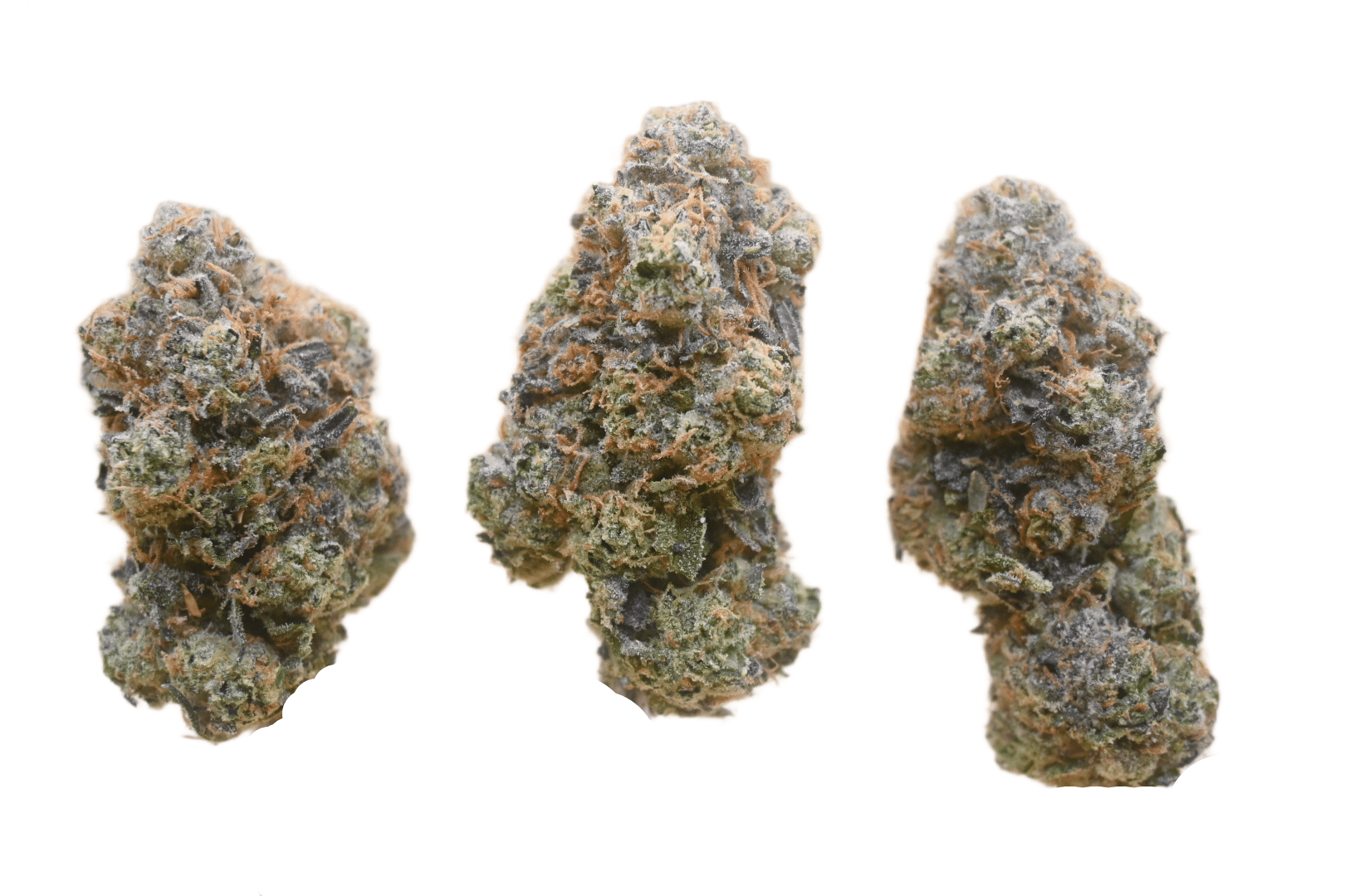 Lemon Cherry Gelato buds