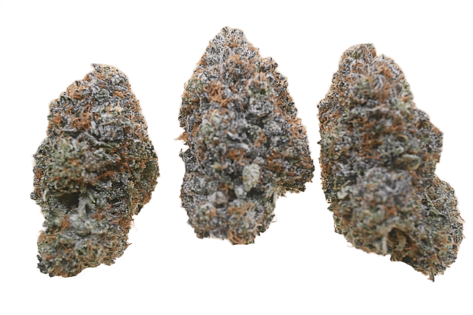 Rose Gold Runtz buds