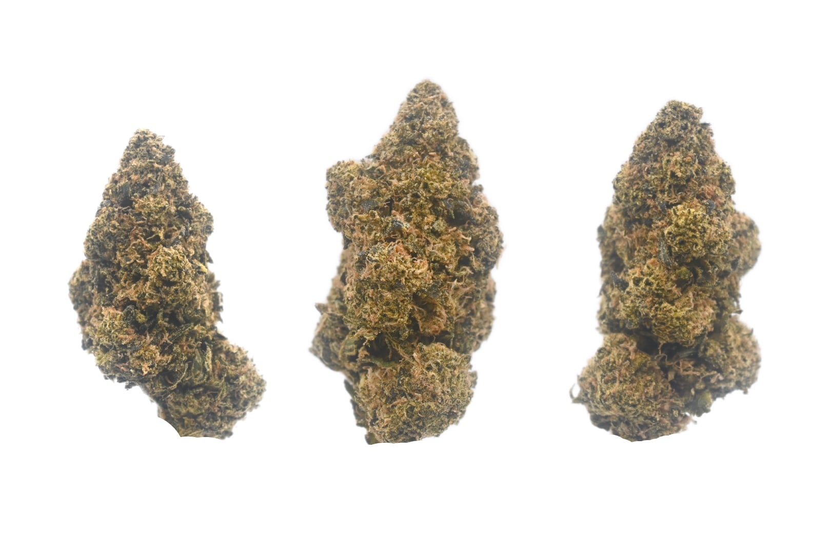 Trainwreck Buds